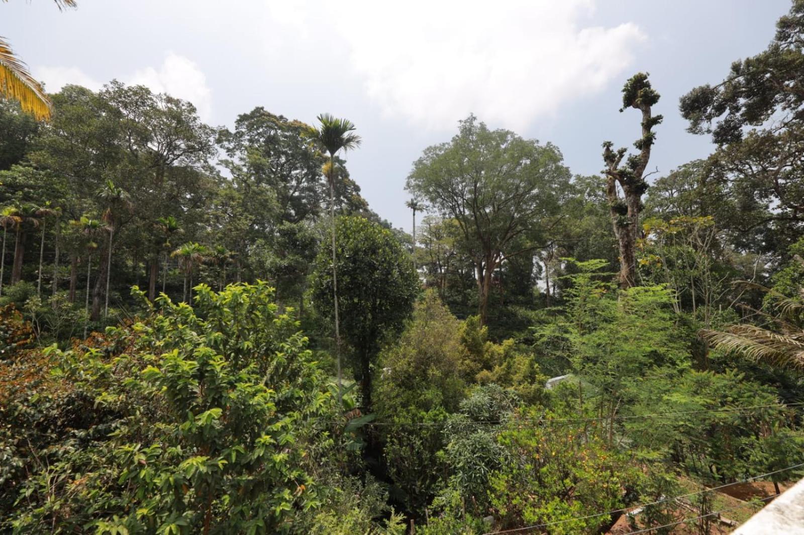 Green Shades Munnar Bagian luar foto