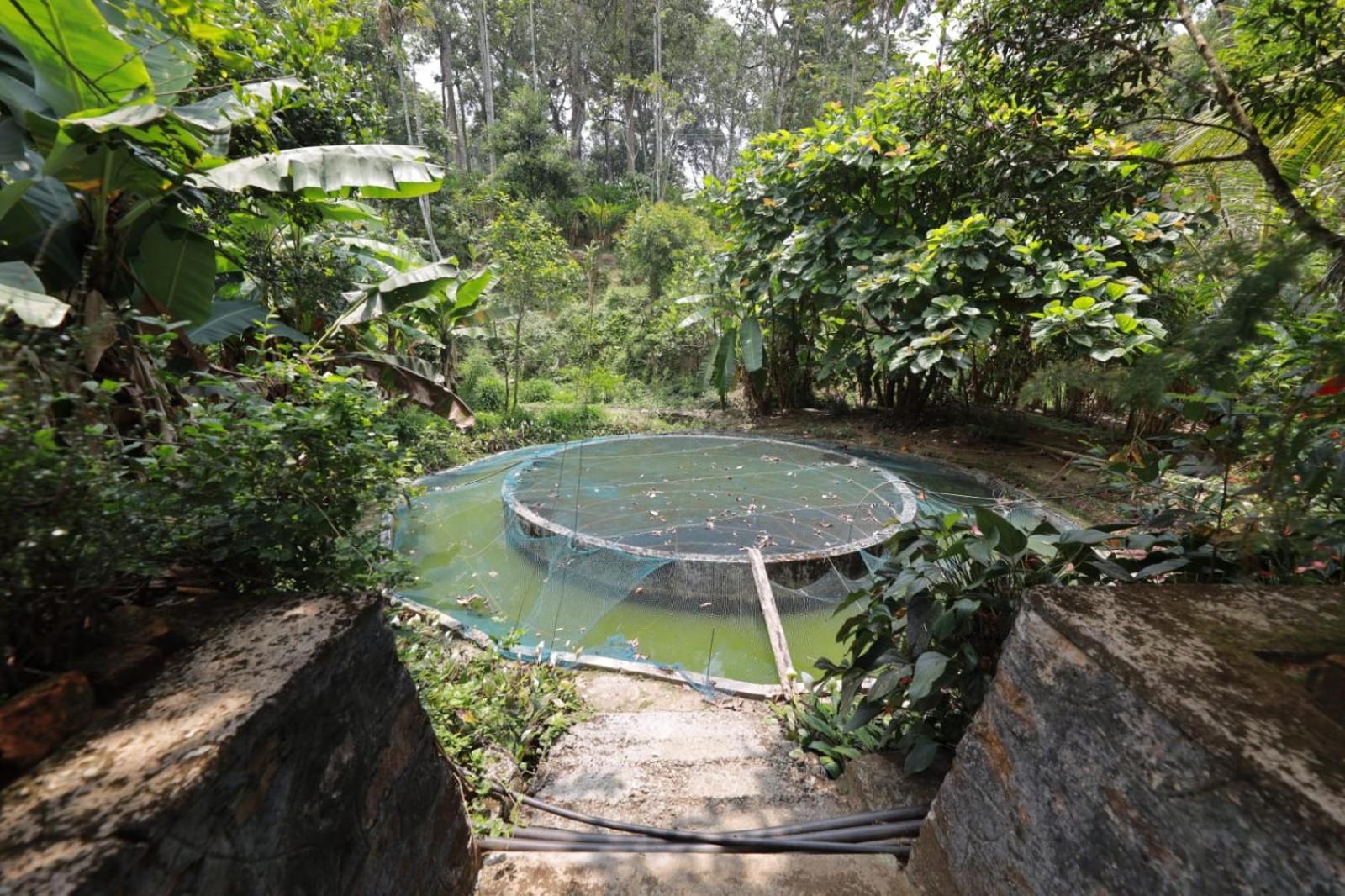 Green Shades Munnar Bagian luar foto