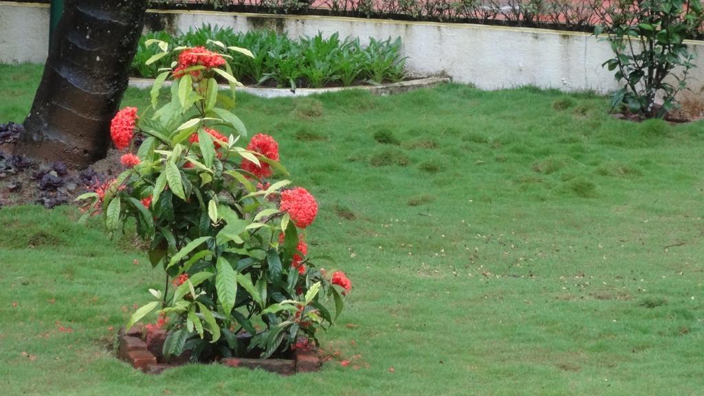Green Shades Munnar Bagian luar foto