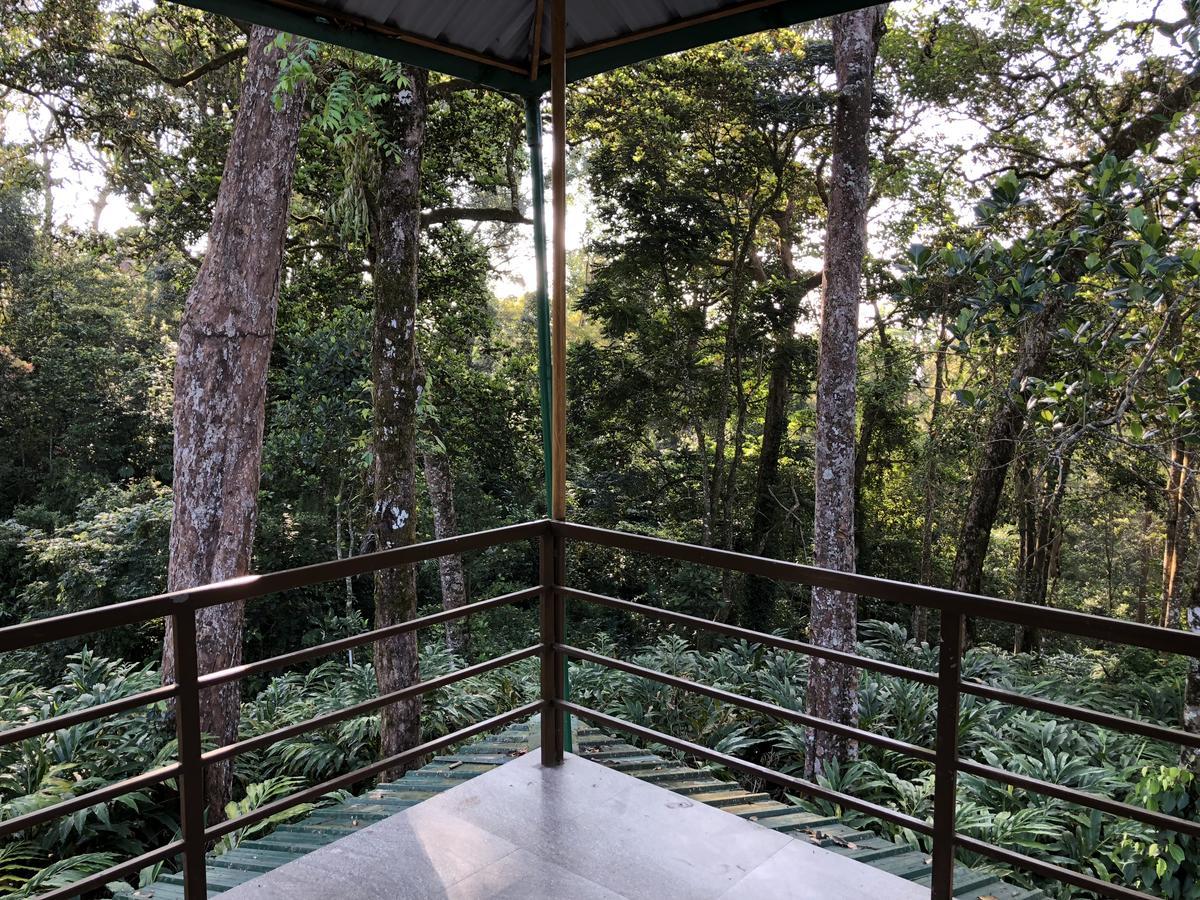 Green Shades Munnar Bagian luar foto