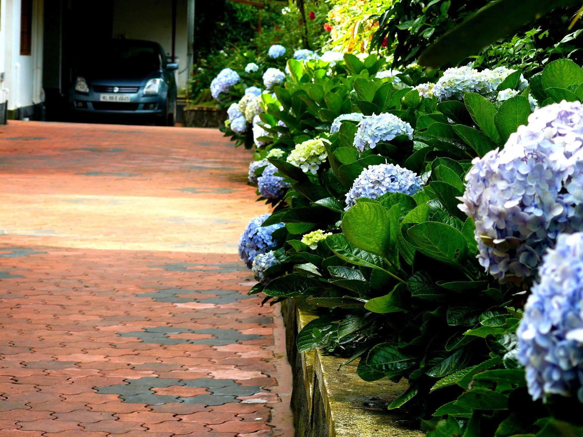 Green Shades Munnar Bagian luar foto